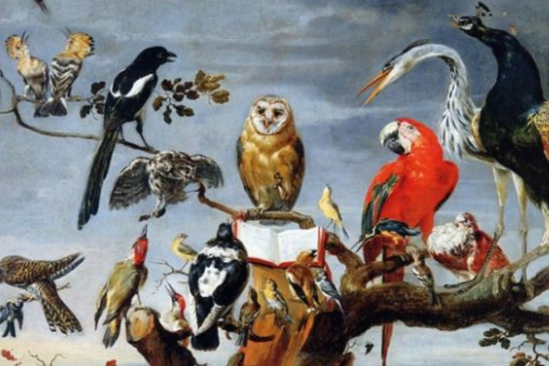 La formidable histoire des oiseaux dans la musique • Festival Jean de La Fontaine